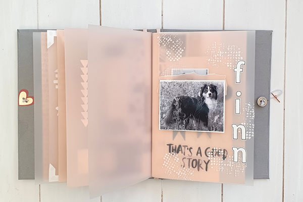 Mini Album Hund Finn