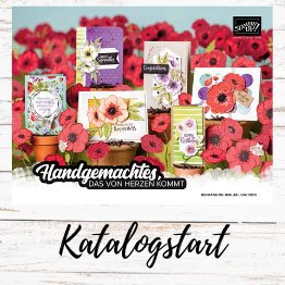 Katalogstart Mini-Katalog Stamin UP