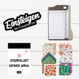 einsteigen Stampin UP