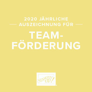 Teamförderung